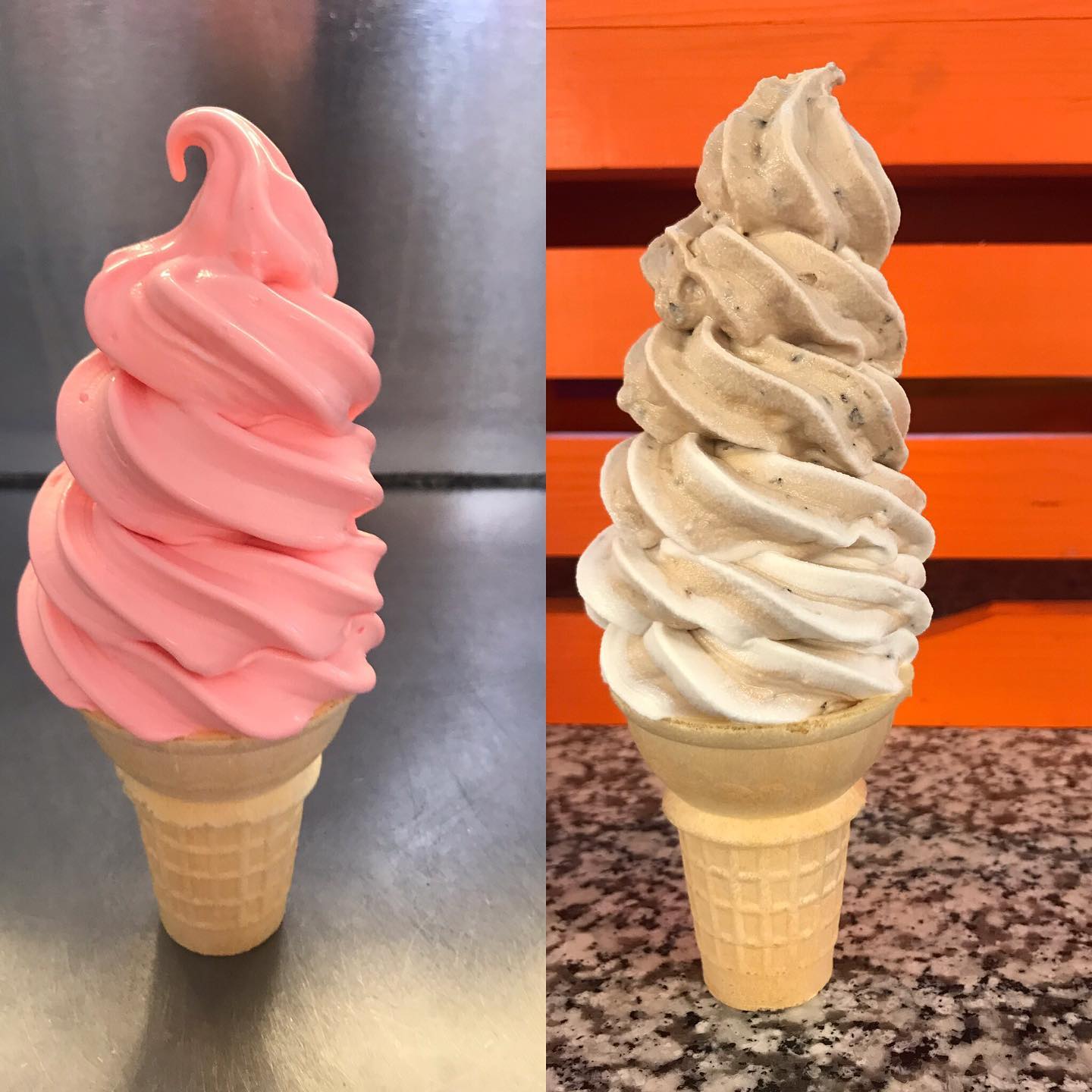 Sweet Side Ice cream & Savory Side Food Truck Great Northern